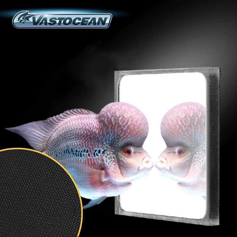 VASTOCEAN Multifunction Betta Fish Magnetic Mirror Training Fighting Spirit Tank Rub Mobilize Energy Antidepressant | Дом и сад