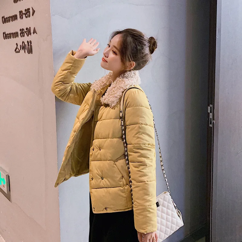 Шикарное короткое пальто из овечьей шерсти с воротником для пекарни зимнее