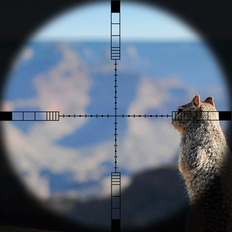 Online airsoft sniper scope