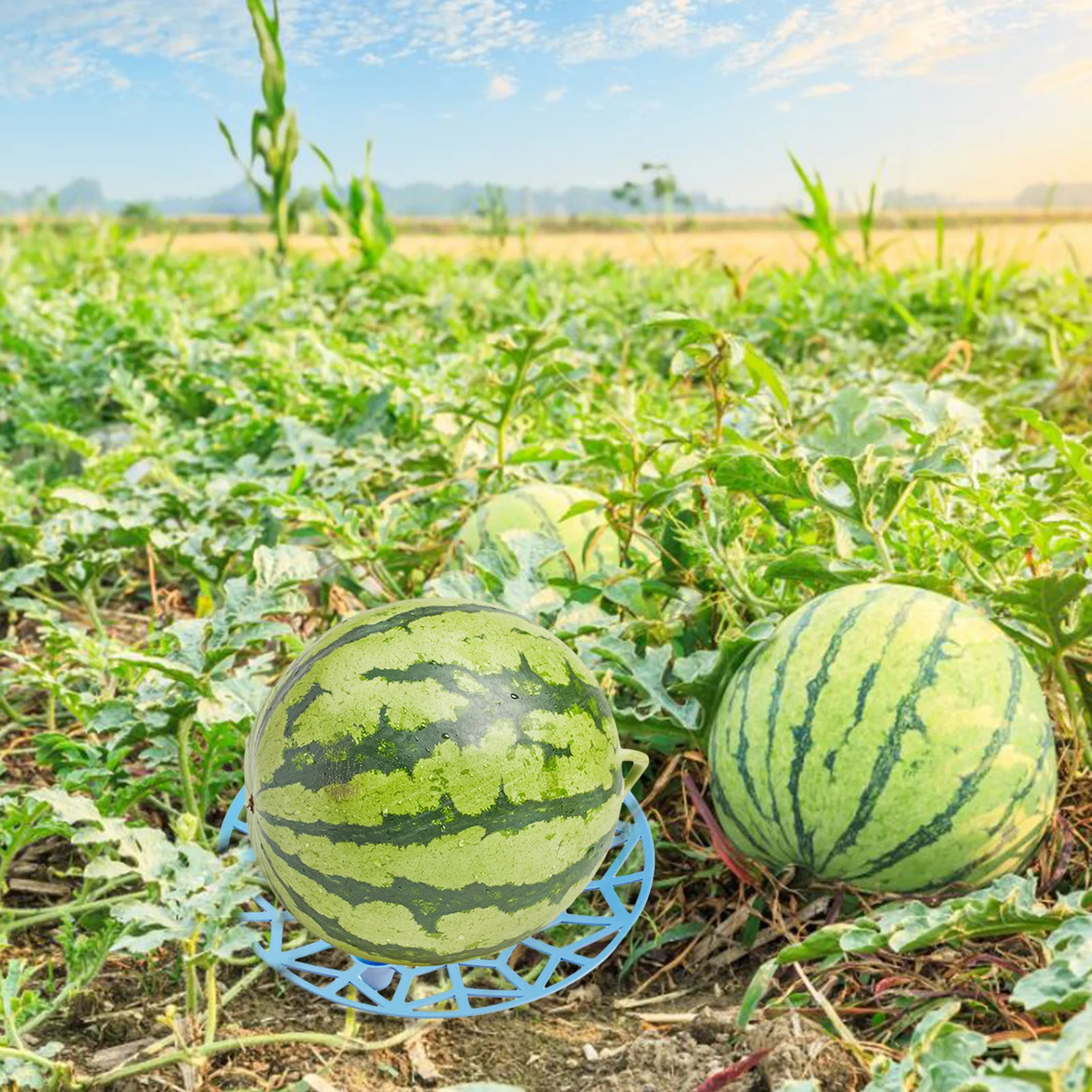 

Melon Support Base Recyclable Environmentally Fruit Trays Watermelon Bracket Melon Planting Protective Products Gardening Tool