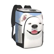 Protable Insulated Thermal Cooler Waterproof Lunch Bag Samoyed The Buddy Dog Picnic Camping Backpack Double Shoulder Wine Bag