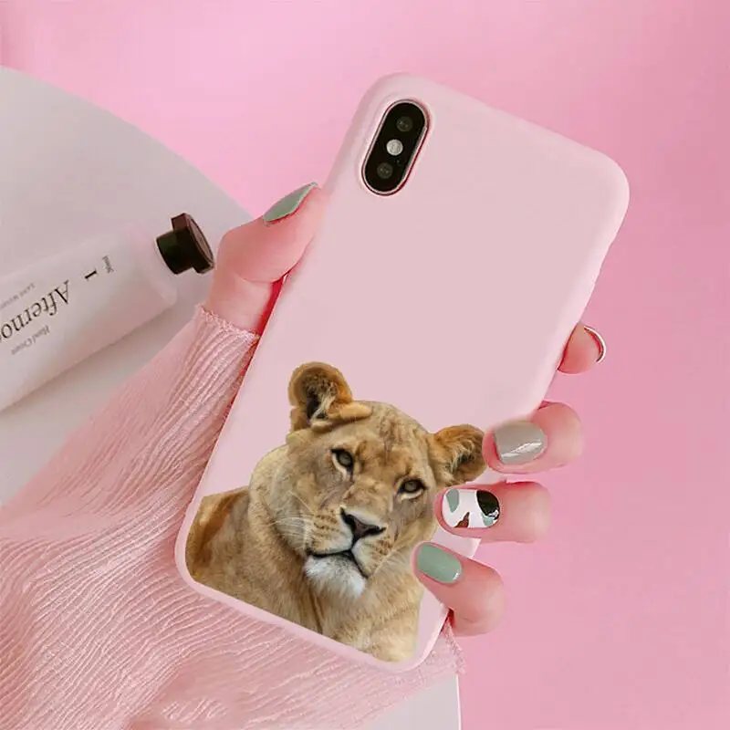 

King of the forest horror animal lion Phone Case Candy Color for iPhone 6 7 8 11 12 s mini pro X XS XR MAX Plus