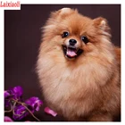 Картина с изображением собаки из померанского алмаза, алмазная вышивка, 5D квадратная Круглая Мозаика, полные картины по номерам стразы, Декор