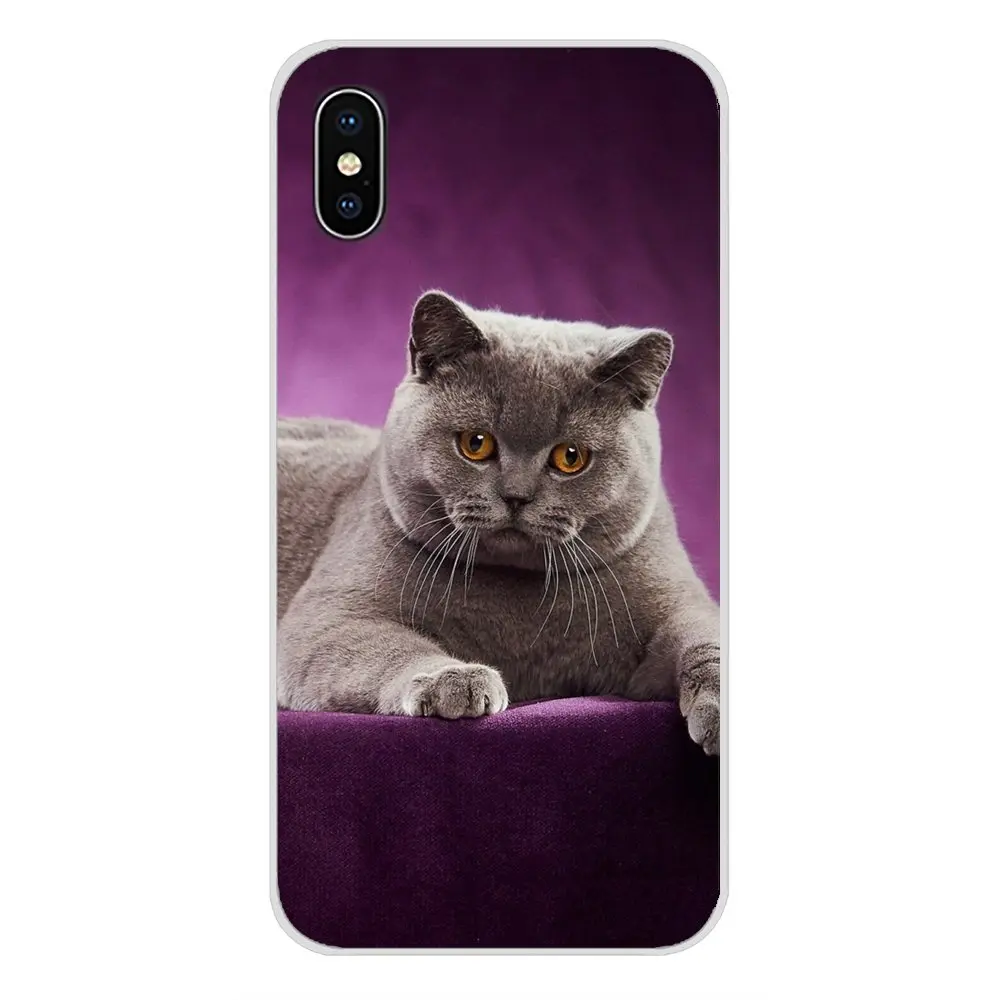 images 7 Для Apple IPhone X XR XS 11Pro MAX 4S 5s 5C SE 6S 7 8 Plus ipod touch 5 6 Британский короткошерстный Кот Топ дизайн силиконовые чехлы - Цвет: images 7