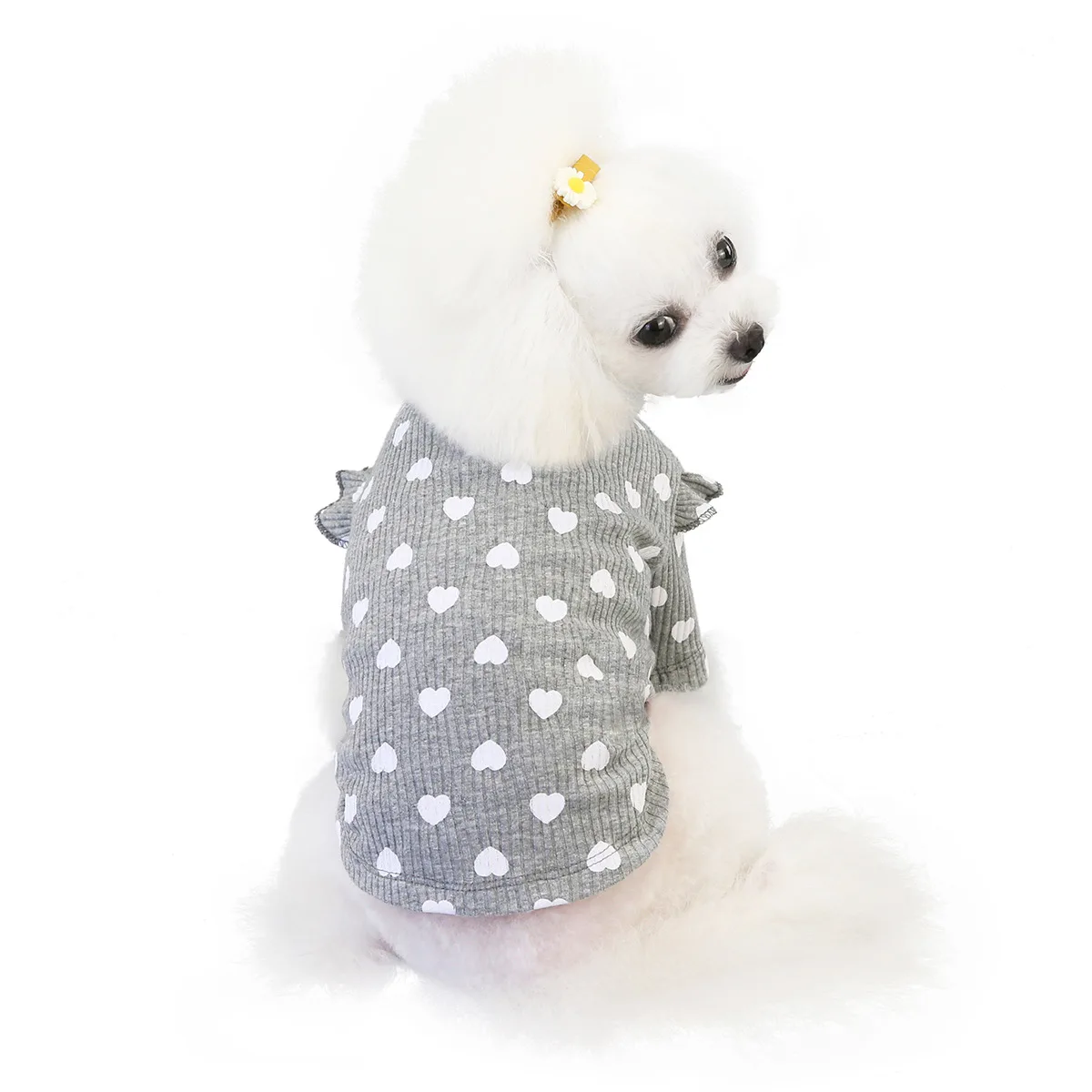 

Clothes for Dog Clothes for Small Dogs Clothing for Pet Cats Costume Chihuahua Outfit Warm Pets Clothing Coat