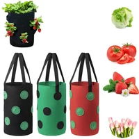 strawberry tomato growing bag garden hanging vegetable bare root plants planting bag breathable reusable flower herb pot 10 hole