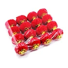 16 шт. маленький китайский красный фонарь декоративный традиционный Весенний фестиваль мини-фонарь домашний орнамент для дерева подвесной красный кулон