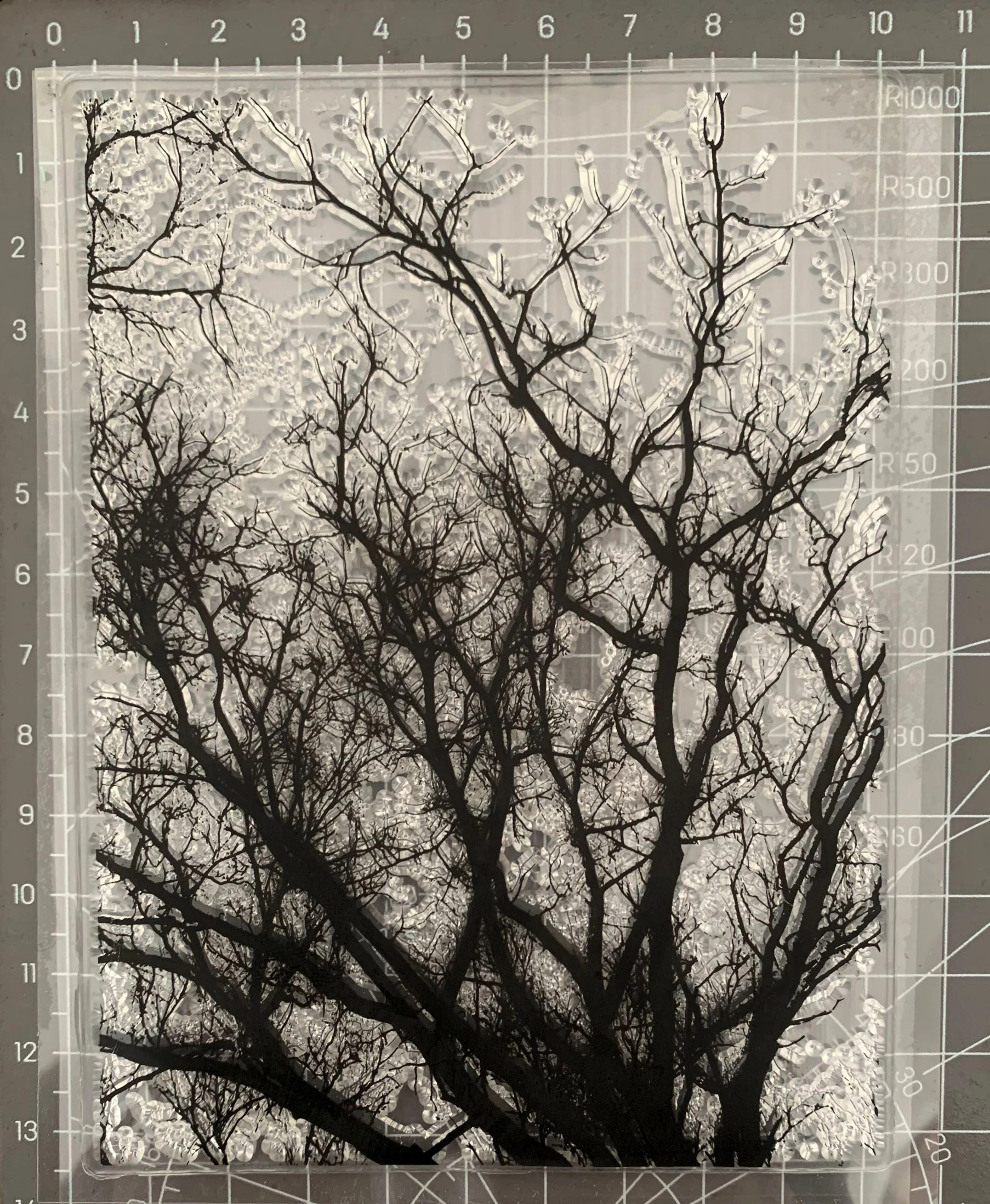 

Прозрачные силиконовые ветви оформления фотоальбома «сделай сам»