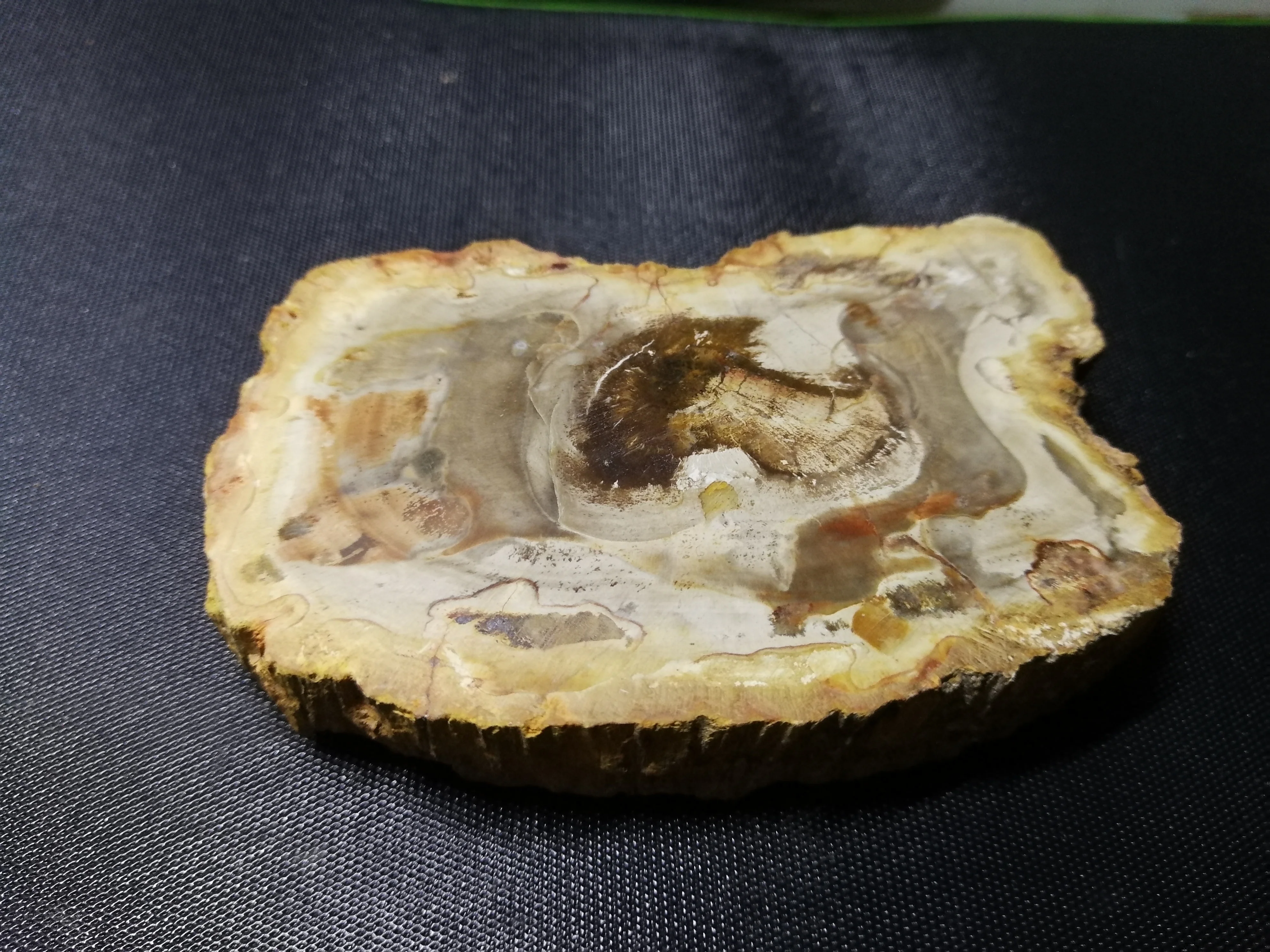 

205.1gNatural fossil wood chips, quartz crystal agate flower stone coasters, landscape Pieces