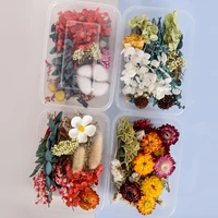 diy accessories 1 box dried flower dry plants for aromatherapy candle epoxy resin pendant necklace jewelry making craft