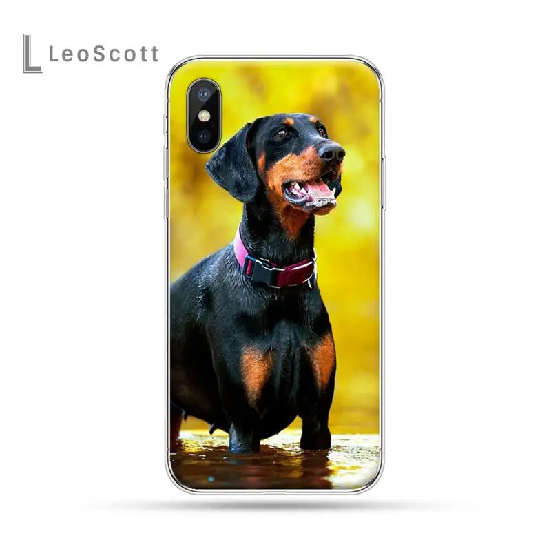 

black Dachshund Doberman Dog luxury protective funda phone case for iPhone 11 12 pro XS MAX 8 7 6 6S Plus X 5S SE 2020 XR