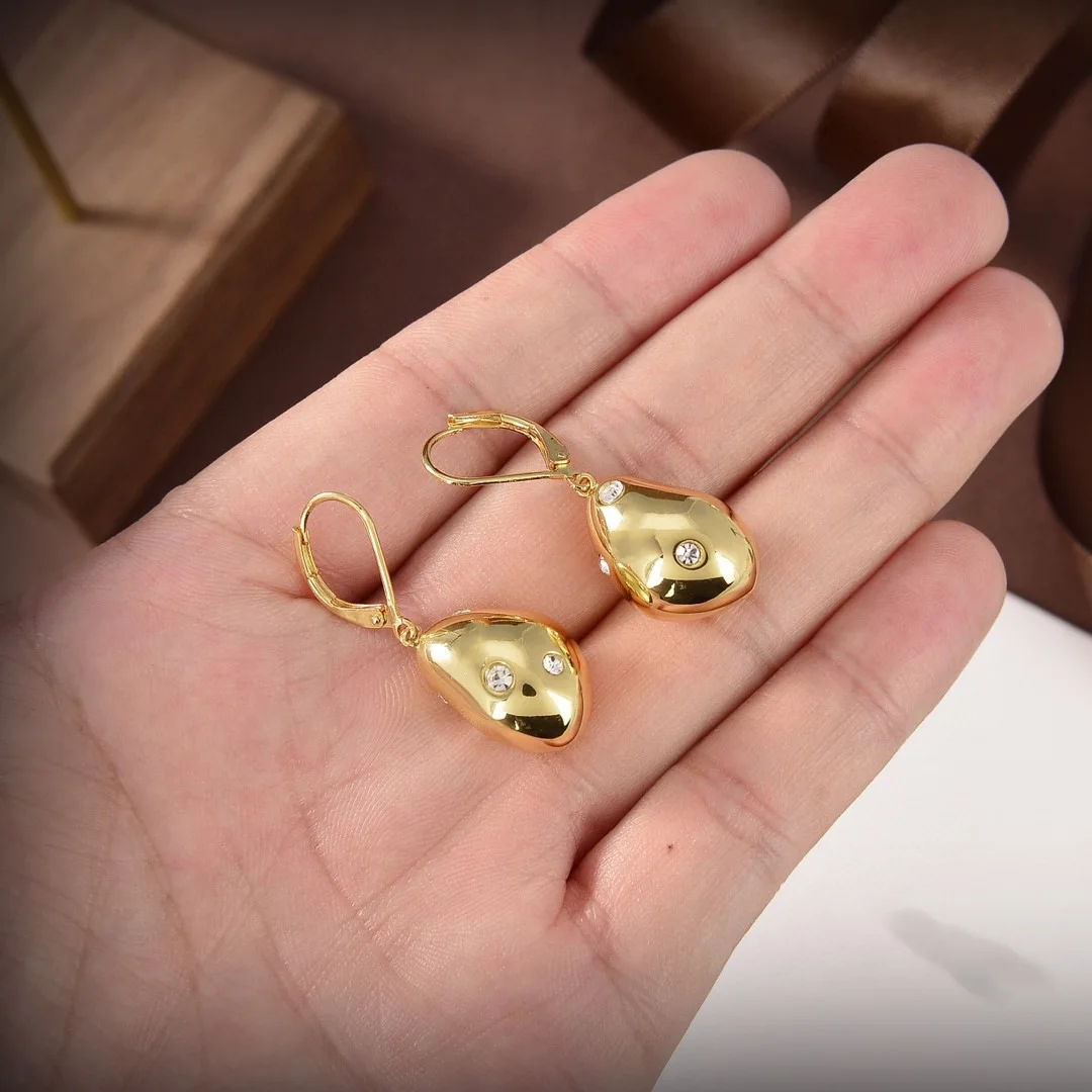 

European and American temperament brass carved special-shaped earrings plug home silver needle stud earrings cold wind earrings