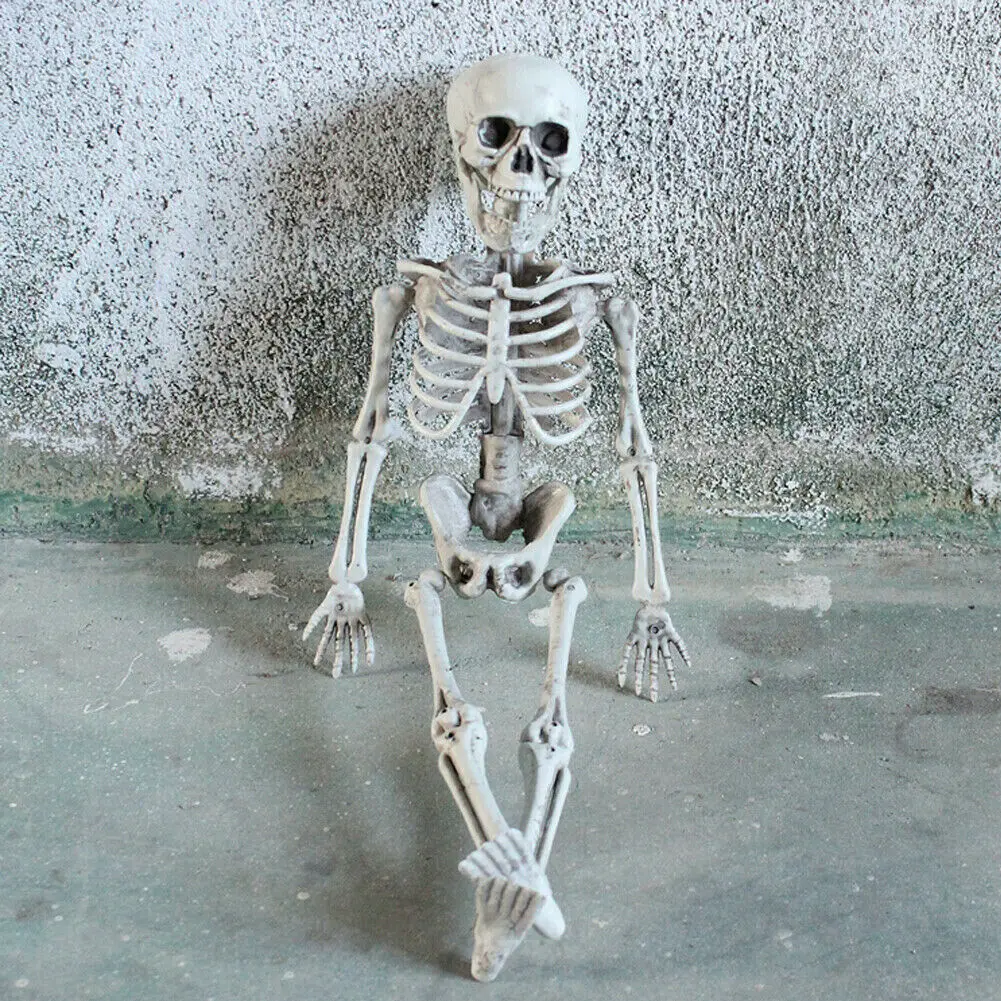 40cm Movable Bones Skeleton Human Model Skull Full Body Mini Figure Halloween Party Prop Hot | & Holiday DIY Decorations