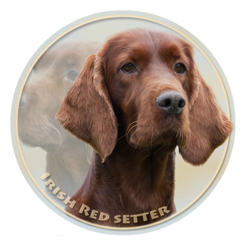 S40386# Various Sizes PVC Decal Irish Setter Dog Pet Animal Car Sticker For Bumper Rear Window Laptop Refrigerator Toilet