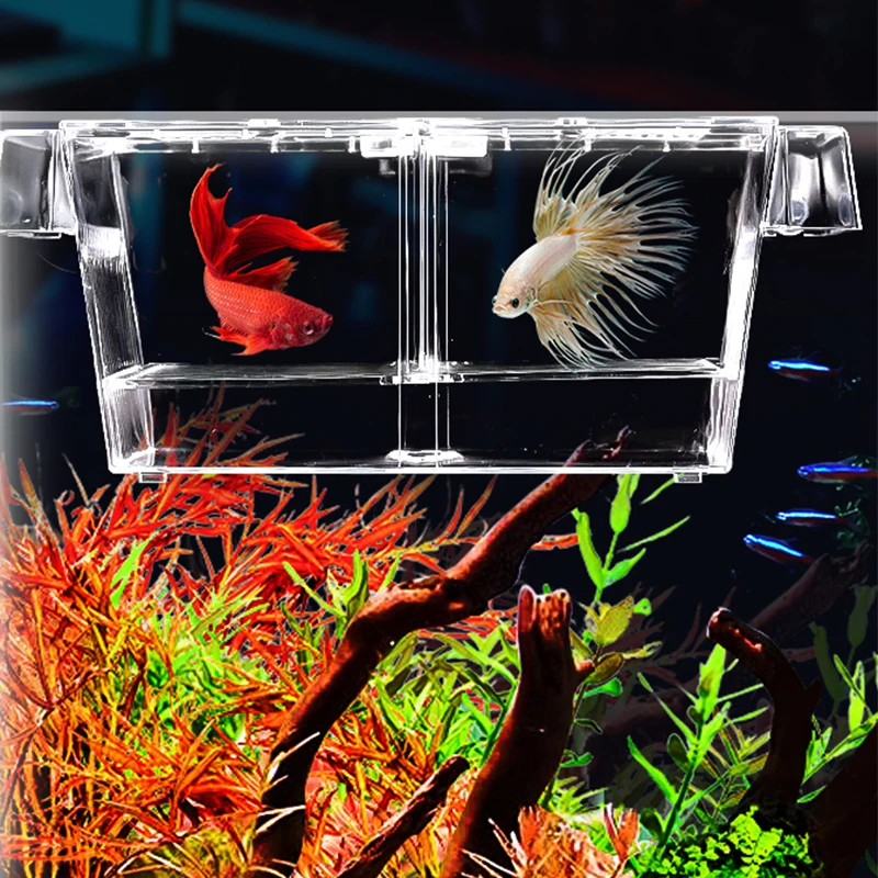 Aquarium Fish Tank Isolation Box Fry Breeding Multifunctional Spawning Hatching Room Acrylic Aquarium Accessories Fish Supplies