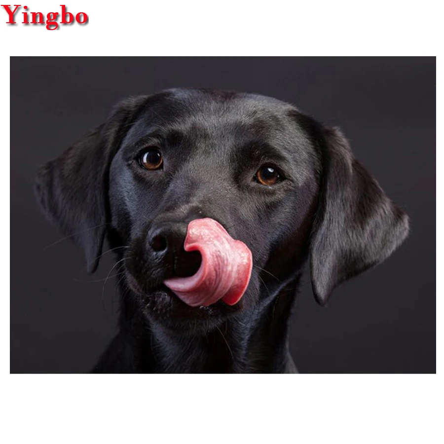 Полностью квадратная Алмазная картина с изображением собаки Лабрадора стразы 5D