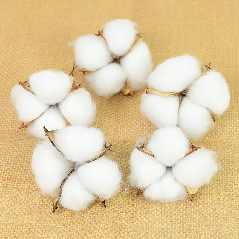 

5/10 Pcs Artificial Flower Natural Dried Cotton Flower Heads Wedding Car Decorative DIY Craft Wreaths Scrapbook Home Decorations