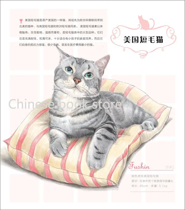 Китайский карандаш книга для рисования птица милая кошка учебник обучения