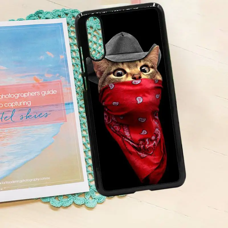 

cool cat funny animal high quality luxury Anti-fall Phone Case PC for iPhone 11 12 pro XS MAX 8 7 6 6S Plus X 5S SE 2020 XR