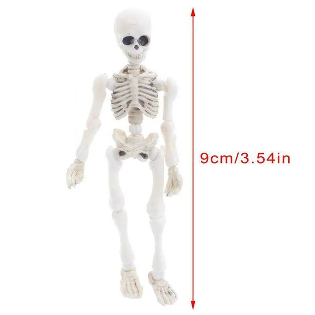 

Halloween Movable Skeleton Human Model Skull Full Body Mini Figure Toy