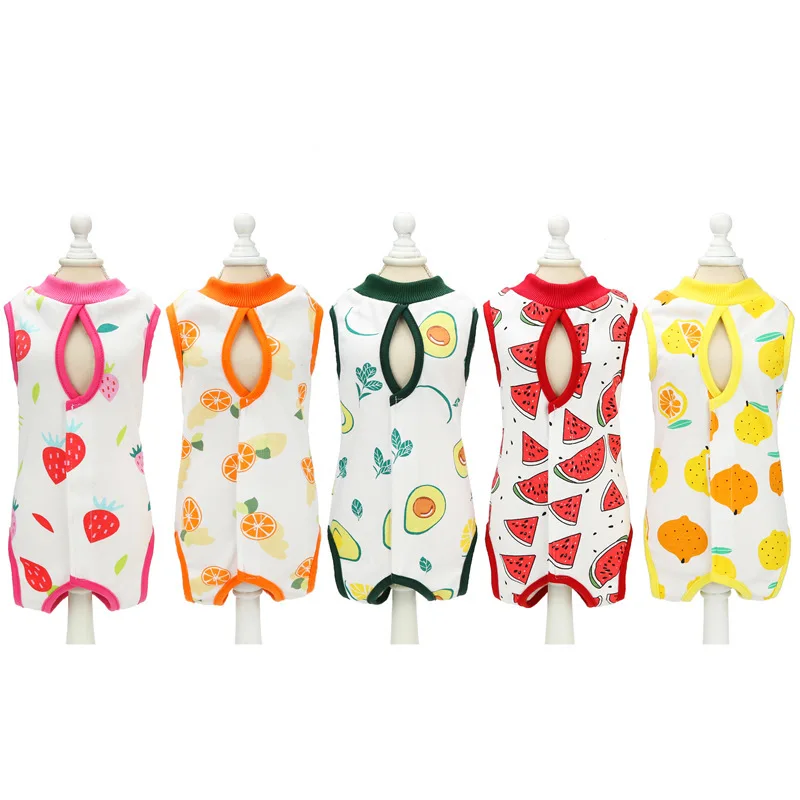 

Pet clothing thin fruit clothes Teddy Chihuahua poodle dog cat dog clothes alternative fashion cat clothes pet kitten