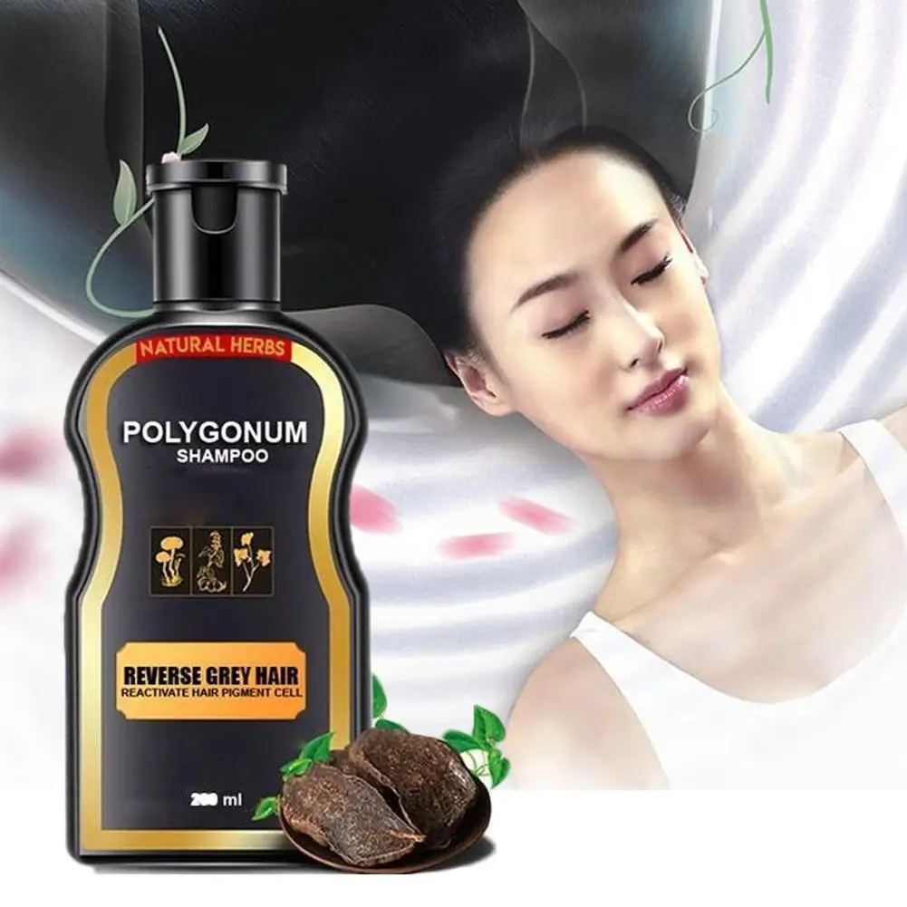 

200ml Hair Loss Treatment Shampoo Hair Care Shampoo Bar Ginger Hair Growth Cinnamon Anti-Hair Loss Shampoo Polygonum Multifloru