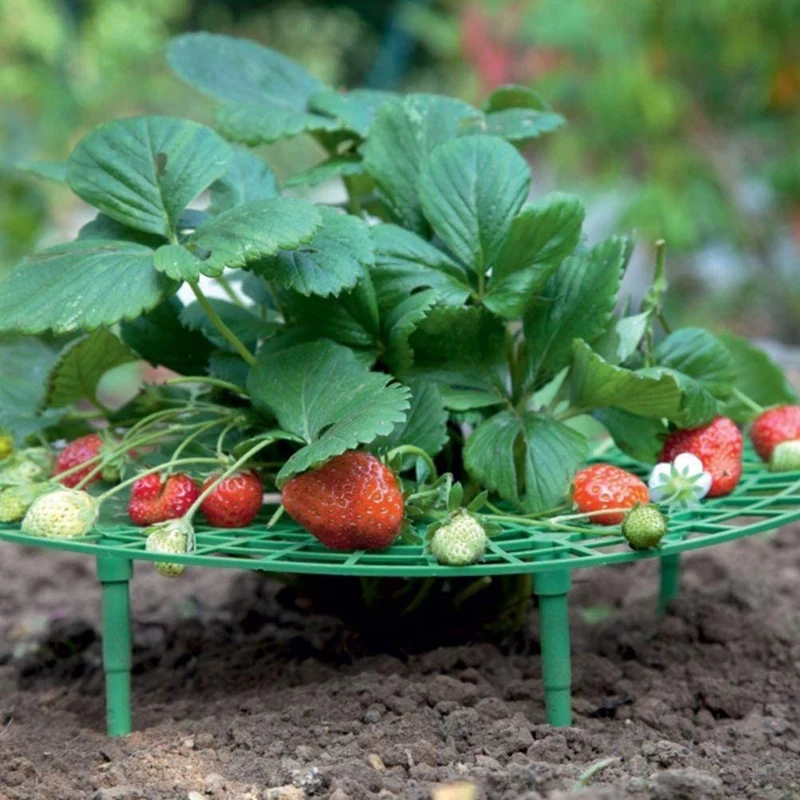 

16Pcs Strawberry Stand Frame Holder Balcony Planting Rack Fruit Support Plant Flower