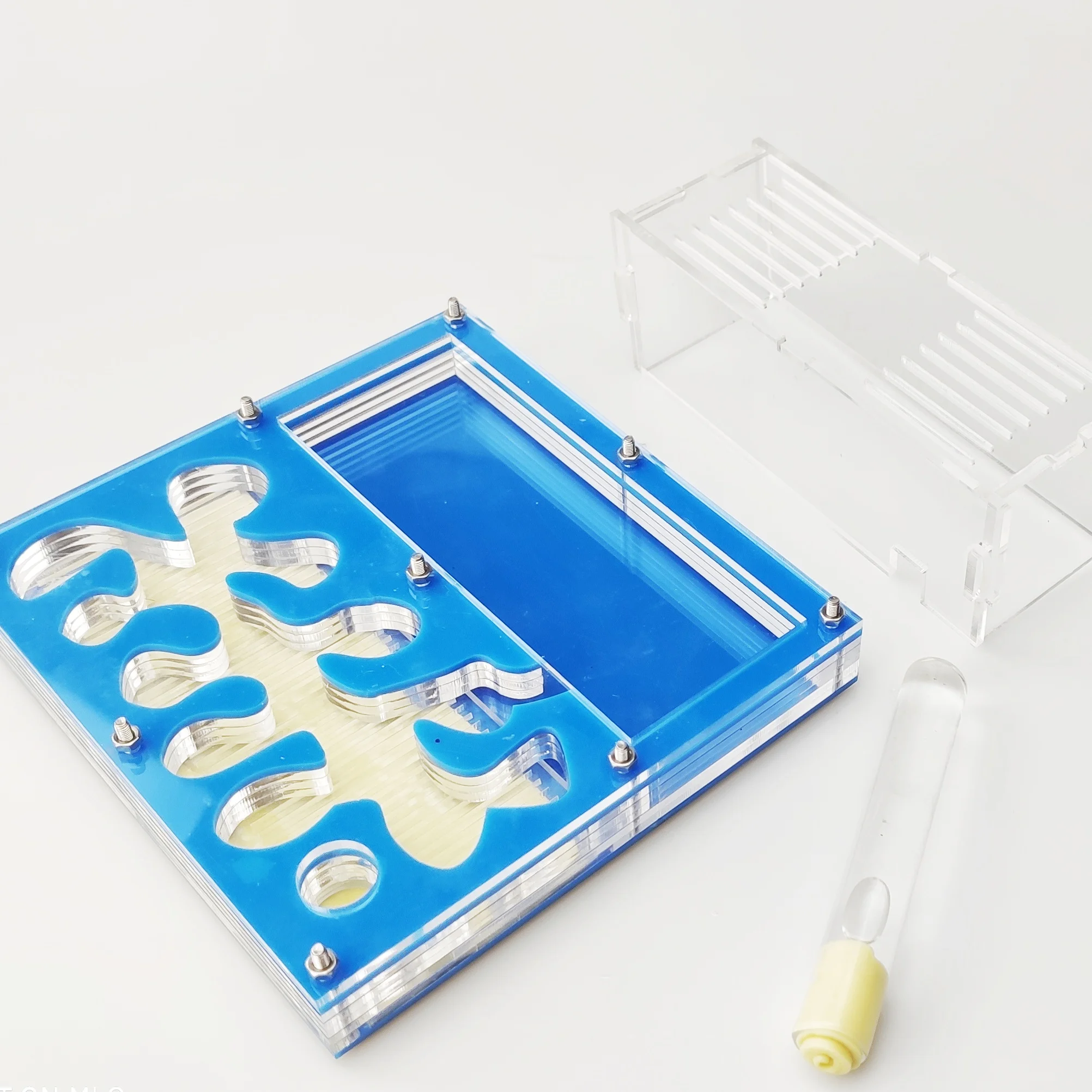 Плоские муравьиные фермы Муравьиное гнездо акриловый муравьиный дом с полной