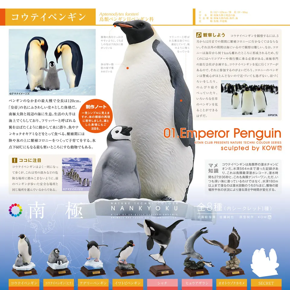 Капсульная игрушка Gashapon, Япония, Kitan Glissade, пингвин, Южный полюс, семейная модель, летучая мышь, дельфины, миниатюрное украшение