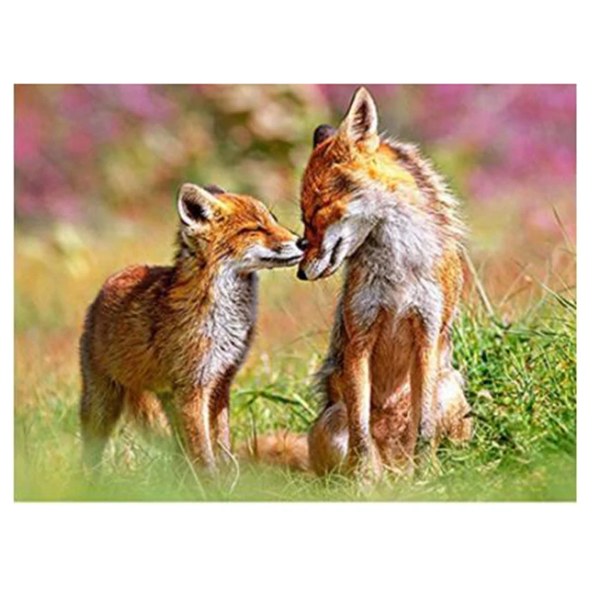 5D DIY Полный Круглый/квадратный животные Милая лиса искусство алмазная живопись