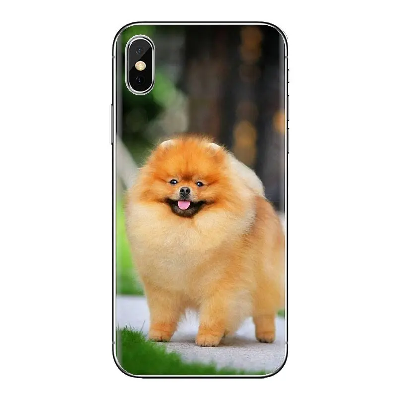 For Sony Xperia Z Z1 Z2 Z3 Z5 compact M2 M4 M5 E3 T3 XA Aqua LG G4 G5 G3 G2 Mini Cell Phone Case Cover Funny cute Pomeranian dog |
