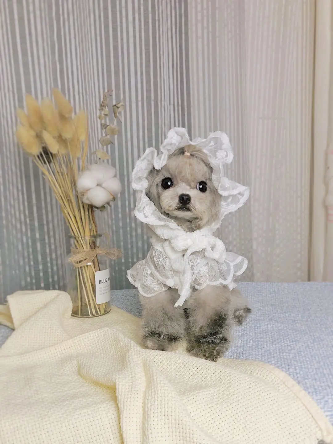 Одежда для собак кружевное платье домашних животных Летняя шелковая юбка щенков