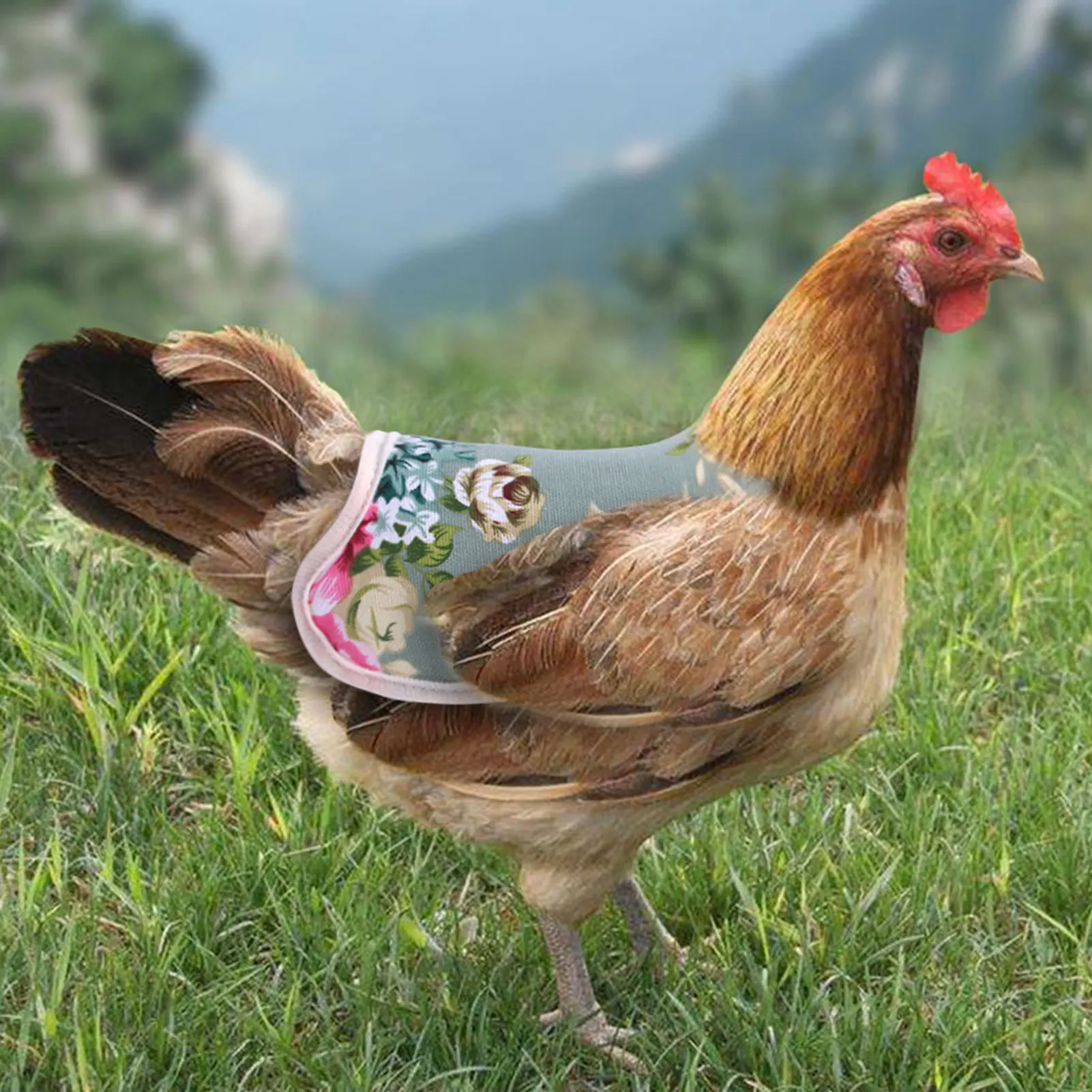 

Pet Vest Reflective Chicken Poultry Clothes Hen Saddle Apron Elastic Band Adjustable Feather Protection Holder for Chicken Duck