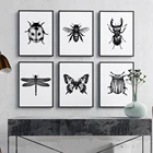 Иллюстрация насекомых, Черно-Белая настенная Картина на холсте, Бабочка, пчела, насекомые, плакаты и принты, настенные картины, домашний декор