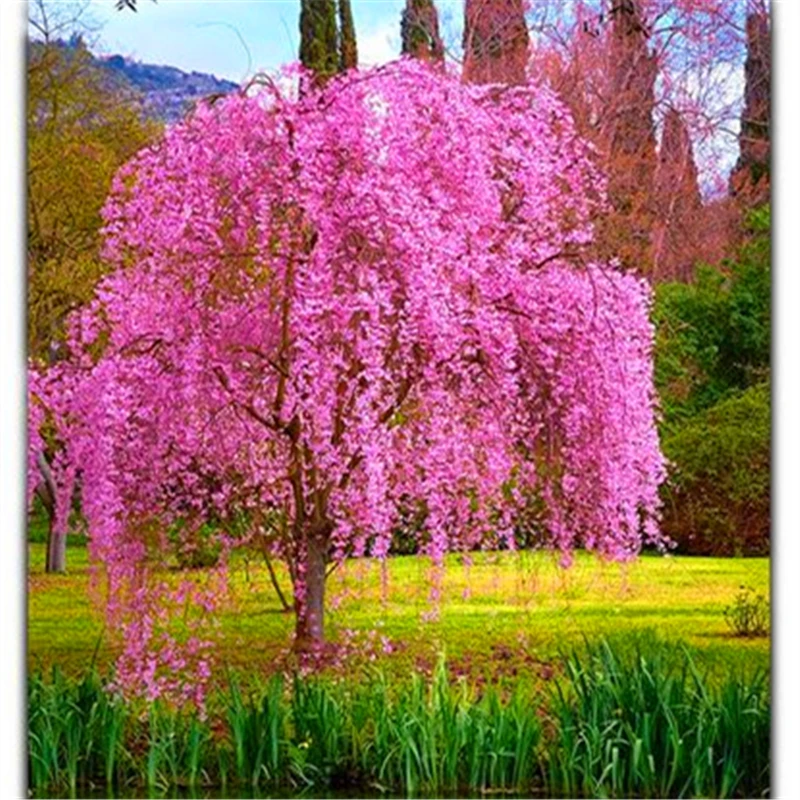 

15 шт., деревянный шкаф для ванной комнаты