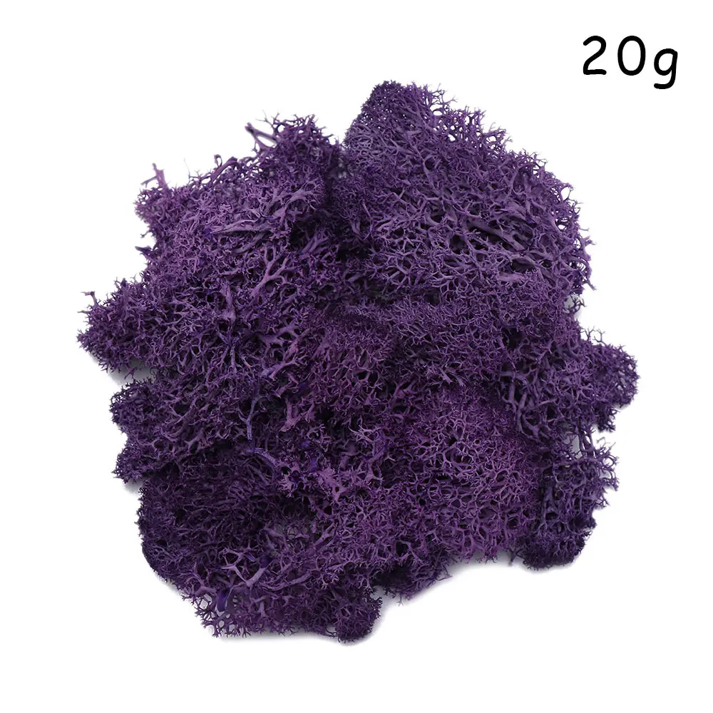 Purple Микро пейзаж натуральный норвежский олень мох предварительно просушенный искусственный цветок Stamen Свадебные украшения DIY украшения дома - Цвет: Purple