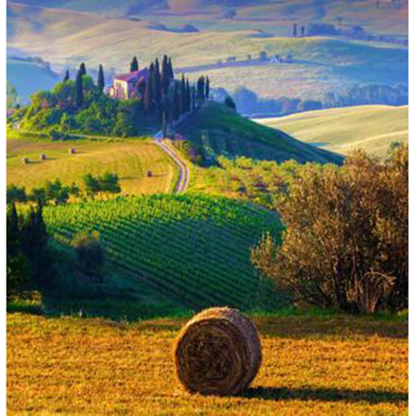 

5D DIY Square/Round Diamond Diamond Painting Landscape Painting Grass Pile Picture Cross Stitch Embroidery Artwork Decor TX317