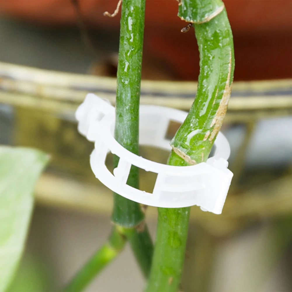 

Tomato Clamp Plant Connector Plastic Connects Hanging Growing Vine Reusable Grafting Set Clamps Wire Nets Fixed Support Clips