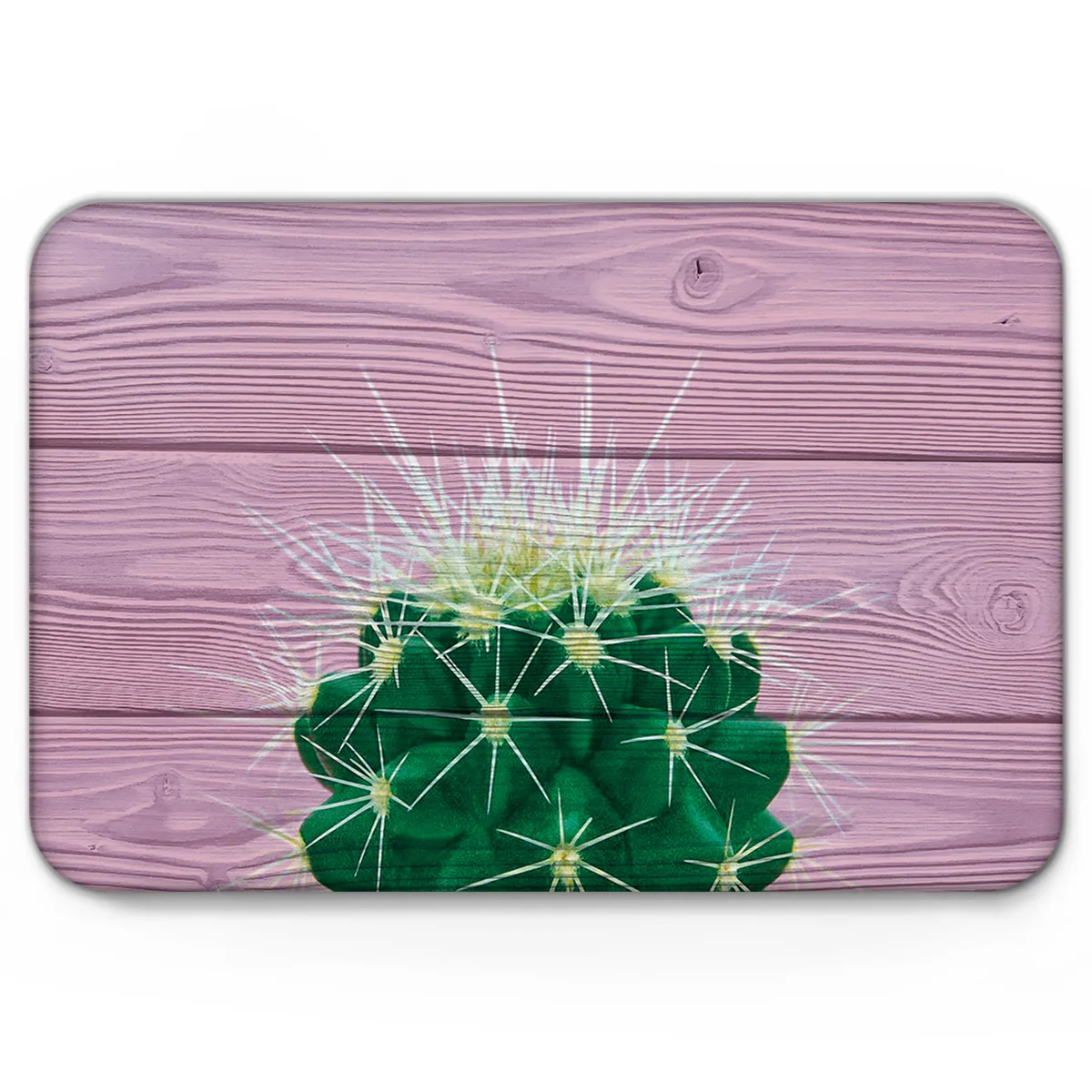 Текстура древесины фон завод кактус коврик напольный передняя дверь коврики