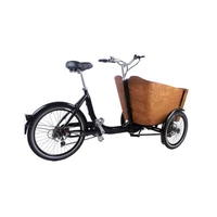 new style riding bike children adult 3 wheel electric bicycle with child seat shopping tricycle vegetable cargo bike