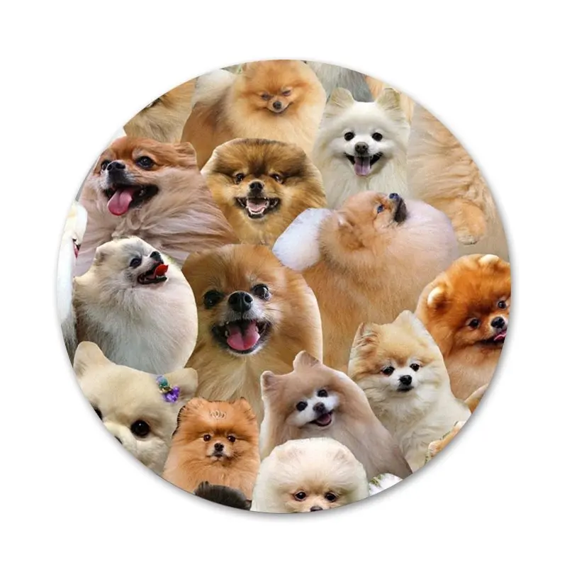 Значки для собак шпильки значки металлические фотографий|Значки| |