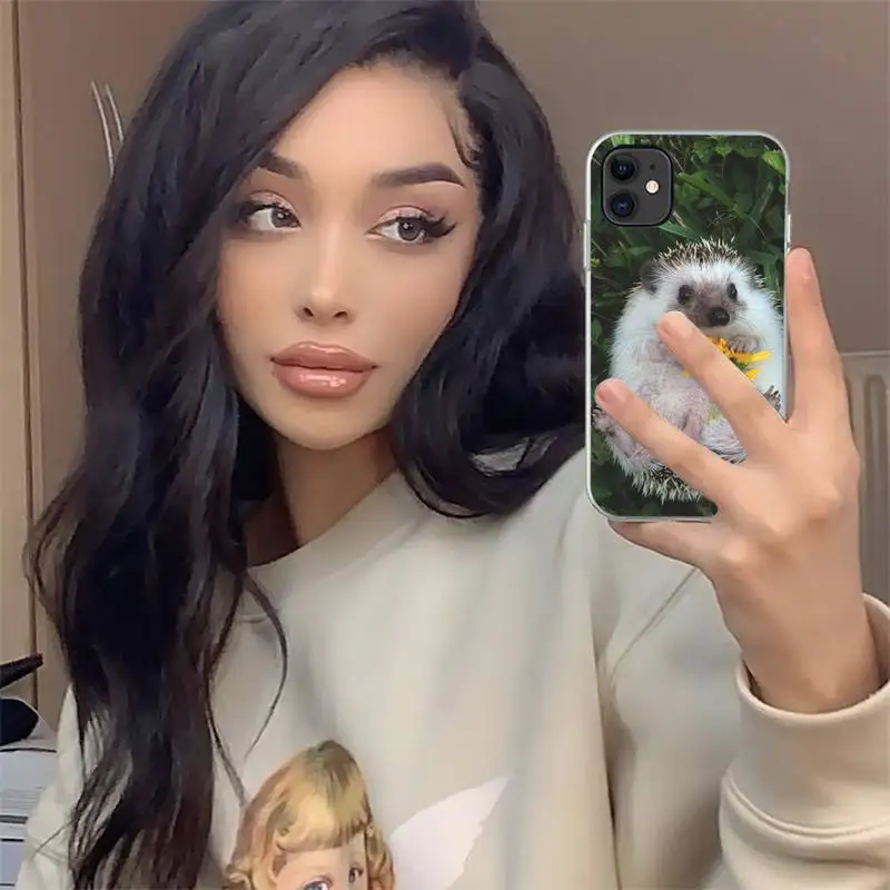 

Cute hedgehog lovely animal pet Phone Case For iphone 12 mini 5 5s 5c se 6 6s 7 8 plus x xs xr 11 pro max