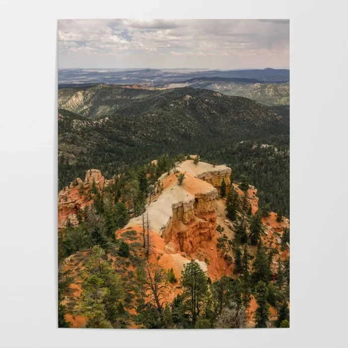 Декор для дома настенная фотография Настенная картина Картина на холсте