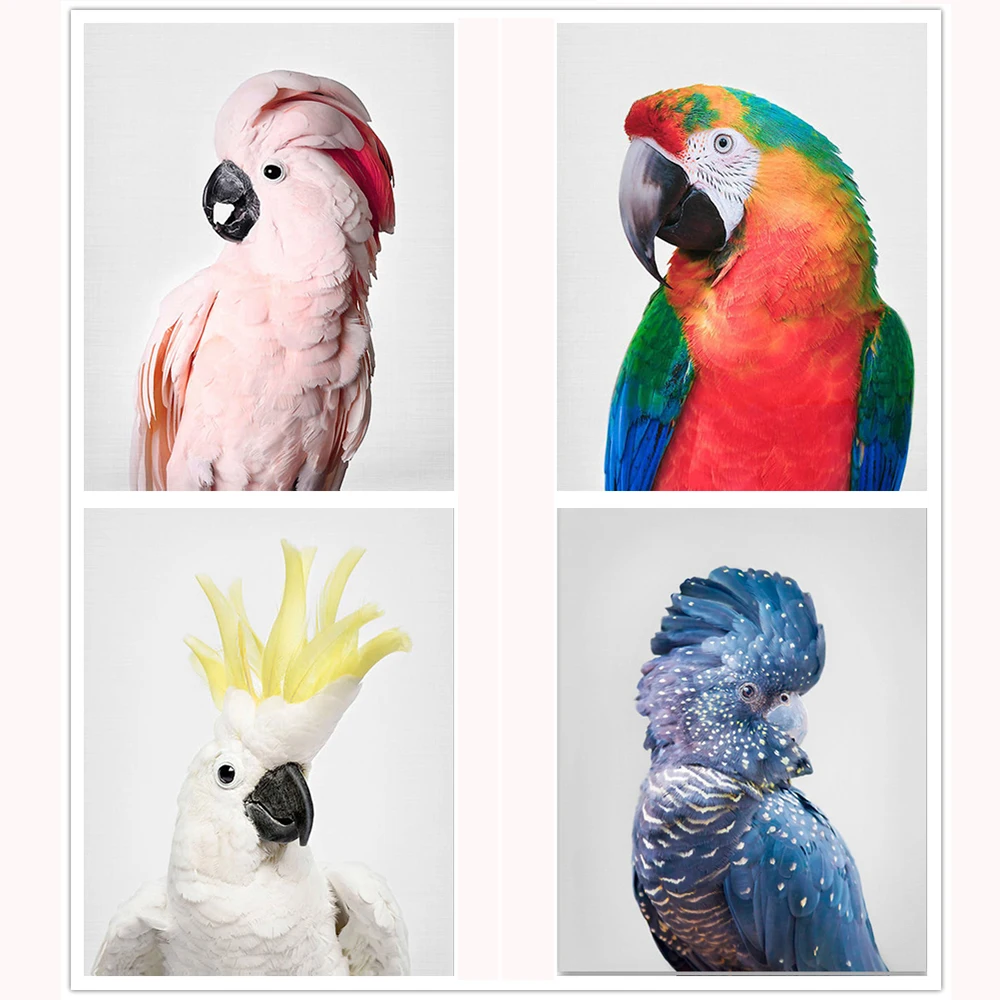 5D DIY Алмазная картина Parrot Macaws полная дрель вышивка животное Cockatoo Вышивка крестом