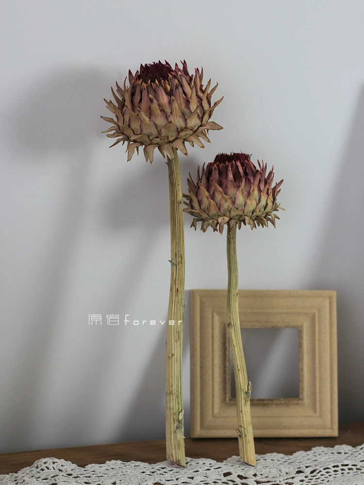 

South Africa Imported Dried Flower High-Grade Flower Home Soft Decoration B & B Decorative Preserved Fresh Flower
