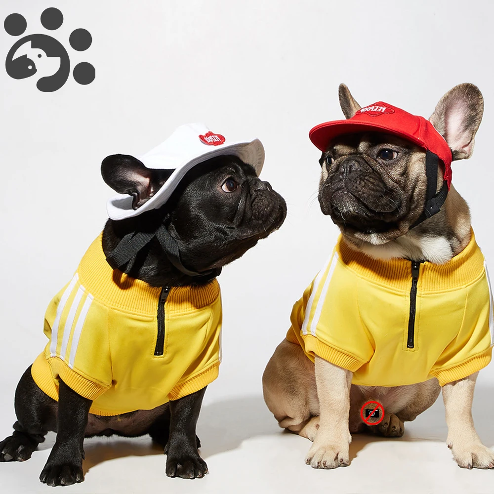 

Clothing for Dogs Cats Clothes Dog Hoodie Sweatshirt for Dog Puppy Clothes Chihuahuha Pomeranian Schnauzer Pug French Bulldog