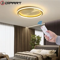 modern creative led gold ceiling lights fixtures aisle corridor porch kitchen light modern simple luxury outer grow ceiling lamp