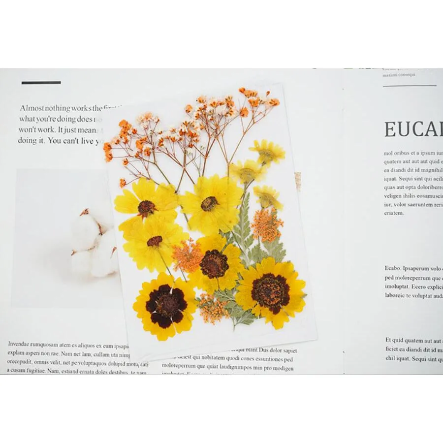 Микс сушеных прессованный цветок + лист гербарий из растений для Ювелирная