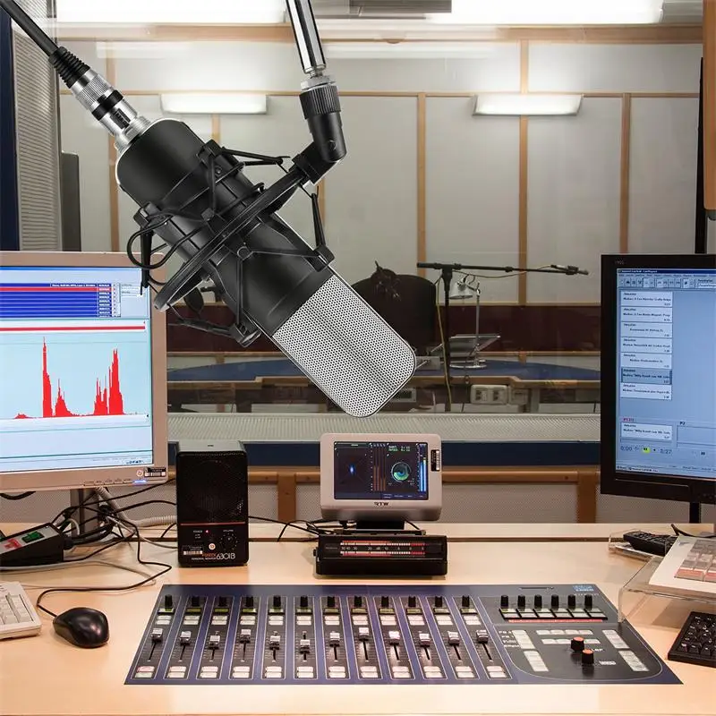 

FELYBY Q8 Professional Game Condenser Sound Recording Microphone with Holder,Compatible with PC and Mac for Live Broadcast Show