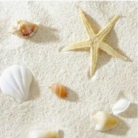 naturelle philippine sand coral sand landscaping sand white sand shell background for aquarium fish tank decoration